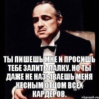 Ты пишешь мне и просишь тебе залить палку. Но ты даже не называешь меня кесным отцом всех кардеров.