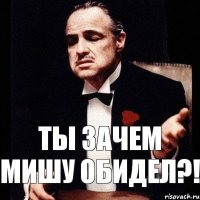 ты зачем мишу обидел?!