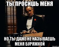 ТЫ ПРОСИШЬ МЕНЯ НО ТЫ ДАЖЕ НЕ НАЗЫВАЕШЬ МЕНЯ БУРЯЖКОЙ