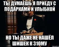 Ты думаешь я приеду с подарками и улыбкой Но ты даже не нашёл шишек к 31ому