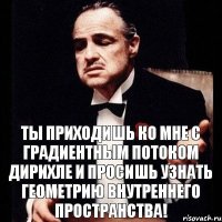 Ты приходишь ко мне с градиентным потоком Дирихле и просишь узнать геометрию внутреннего пространства!