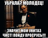 убрала? Молодец! Значит мой унитаз чист! пойду просрусь!!!