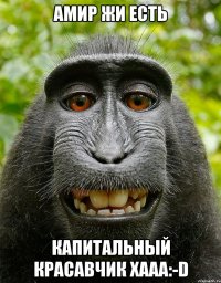 Амир жи есть капитальный красавчик ХААА:-D