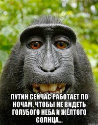  Путин сейчас работает по ночам, чтобы не видеть голубого неба и жёлтого солнца...