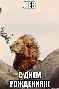 ЛЕВ С ДНЕМ РОЖДЕНИЯ!!!