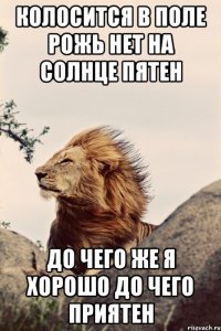 колосится в поле рожь нет на солнце пятен до чего же я хорошо до чего приятен