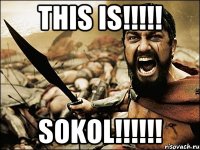 THIS IS!!!!! SOKOL!!!!!!