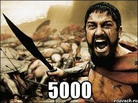  5000