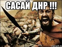 САСАЙ ДНР !!! 