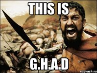 This is G.H.A.D