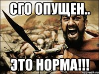 СГО опущен.. это норма!!!