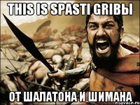 THIS IS SPASTI GRIBЫ ОТ ШАЛАТОНА И ШИМАНА