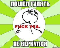 пошёл гулять не вернулся