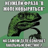 неужели фраза "в жопе ковыряться" на самом деле означает анальный фистинг?