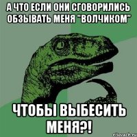 А что если они сговорились обзывать меня "Волчиком" ЧТОБЫ ВЫБЕСИТЬ МЕНЯ?!