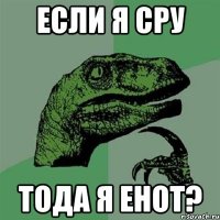 если я сру тода я енот?