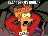 куда ты куру повел? СУКА!!!