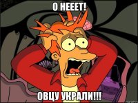 О нееет! Овцу украли!!!