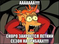 ааааааа!!!! скоро закроется летний сезон на грибках!!!!