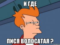 и где пися волосатая ?