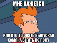 МНЕ КАЖЕТСЯ или кто-то опять выпускал хомяка бегать по полу