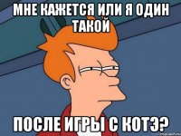 Мне кажется или я один такой после игры с котэ?