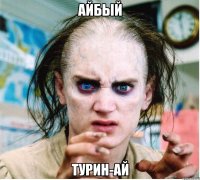 Айбый Турин-ай