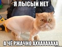 я лысый нет а чё ржачно аххахахаха