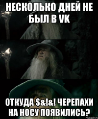 Несколько дней не был в VK Откуда $&!&! черепахи на носу появились?