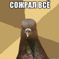 сожрал всё 