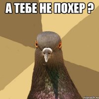 А тебе не похер ? 