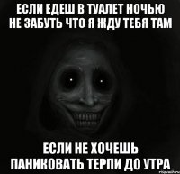 Если едеш в туалет ночью не забуть что я жду тебя там Если не хочешь паниковать терпи до утра