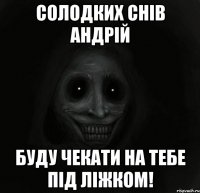 СОЛОДКИХ СНІВ АНДРІЙ БУДУ ЧЕКАТИ НА ТЕБЕ ПІД ЛІЖКОМ!