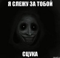 я слежу за тобой сцука