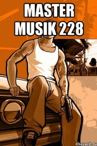 MASTER MUSIK 228 