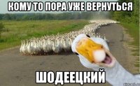 Кому то пора уже вернуться Шодеецкий