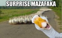 surprise mazafaka 