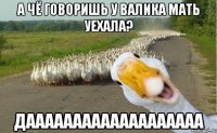 А чё говоришь у валика мать уехала? дааааааааааааааааааа