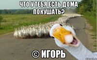 что у тебя есть дома покушать? © Игорь