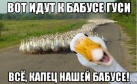 Вот идут к бабусе гуси Всё, капец нашей бабусе!