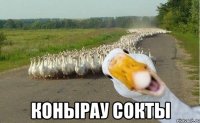  Конырау сокты