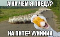 а на чем я поеду? на пите? ууиииии