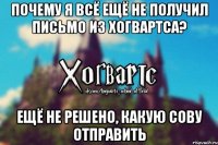 почему я всё ещё не получил письмо из хогвартса? ещё не решено, какую сову отправить