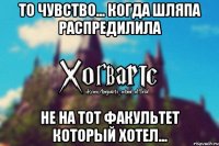 То чувство... Когда шляпа распредилила не на тот факультет который хотел...