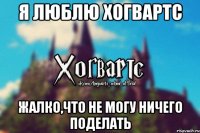 Я люблю Хогвартс Жалко,что не могу ничего поделать