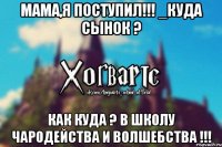 Мама,я поступил!!! _Куда сынок ? Как куда ? В школу чародейства и волшебства !!!