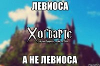 левиОса а не левиосА