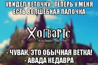 Увидел веточку - Теперь у меня есть волшебная палочка - Чувак, это обычная ветка! - АВАДА КЕДАВРА