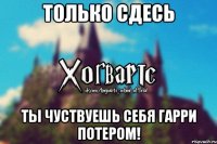 Только сдесь ты чуствуешь себя Гарри Потером!