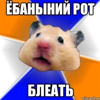 ЁБАНЫНИЙ РОТ БЛЕАТЬ